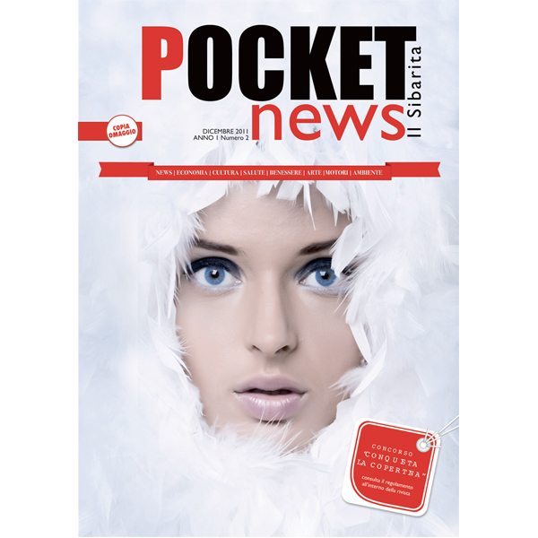 Pocket News